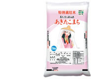 特別栽培米 あきたこまち