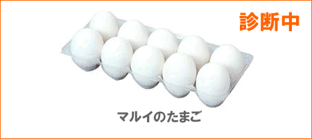 shindanchuu.gif
